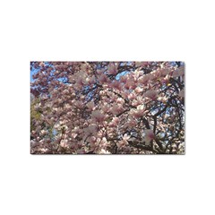 Sakura Sticker 10 Pack (rectangle) by DmitrysTravels