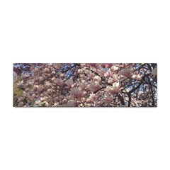 Sakura Bumper Sticker 10 Pack by DmitrysTravels