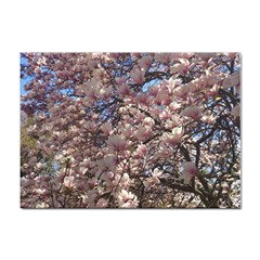 Sakura A4 Sticker 10 Pack by DmitrysTravels