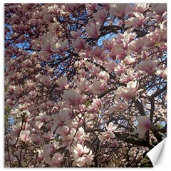 Sakura Canvas 12  X 12  (unframed) by DmitrysTravels