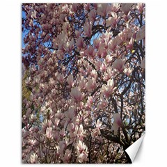 Sakura Canvas 12  X 16  (unframed) by DmitrysTravels