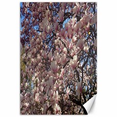 Sakura Canvas 12  X 18  (unframed) by DmitrysTravels