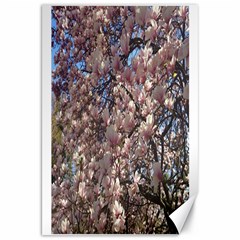 Sakura Canvas 20  X 30  (unframed)