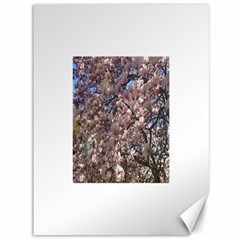 Sakura Canvas 36  X 48  (unframed)