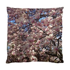 Sakura Cushion Case (single Sided)  by DmitrysTravels