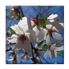 Cherry Blossoms Ceramic Tile