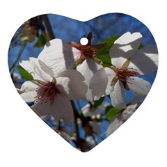 Cherry Blossoms Heart Ornament by DmitrysTravels