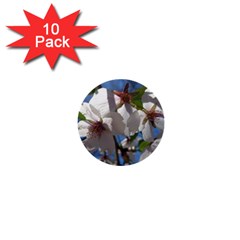 Cherry Blossoms 1  Mini Button (10 Pack) by DmitrysTravels