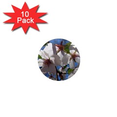 Cherry Blossoms 1  Mini Button Magnet (10 Pack)