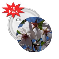 Cherry Blossoms 2 25  Button (10 Pack) by DmitrysTravels