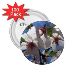 Cherry Blossoms 2 25  Button (100 Pack) by DmitrysTravels