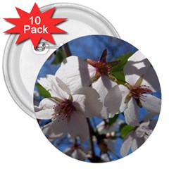 Cherry Blossoms 3  Button (10 Pack) by DmitrysTravels