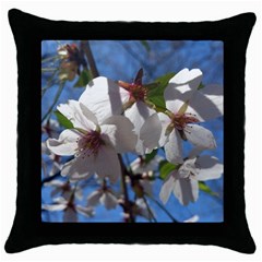 Cherry Blossoms Black Throw Pillow Case by DmitrysTravels