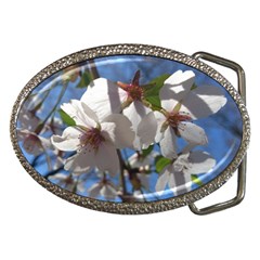 Cherry Blossoms Belt Buckle (oval) by DmitrysTravels