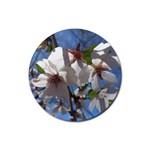 Cherry Blossoms Drink Coaster (Round) Front