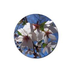 Cherry Blossoms Drink Coasters 4 Pack (round) by DmitrysTravels