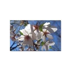 Cherry Blossoms Sticker (rectangle) by DmitrysTravels