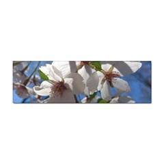 Cherry Blossoms Bumper Sticker by DmitrysTravels