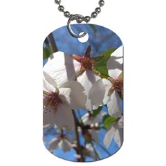 Cherry Blossoms Dog Tag (two-sided)  by DmitrysTravels