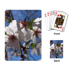 Cherry Blossoms Playing Cards Single Design by DmitrysTravels