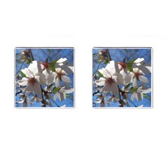 Cherry Blossoms Cufflinks (square) by DmitrysTravels