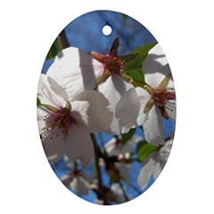 Cherry Blossoms Oval Ornament (two Sides)