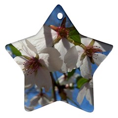 Cherry Blossoms Star Ornament (two Sides)