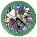 Cherry Blossoms Wall Clock (Color) Front