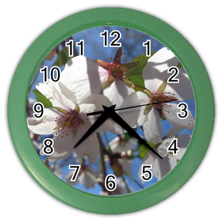 Cherry Blossoms Wall Clock (Color)