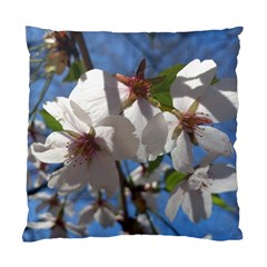 Cherry Blossoms Cushion Case (single Sided)  by DmitrysTravels