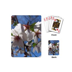 Cherry Blossoms Playing Cards (mini) by DmitrysTravels