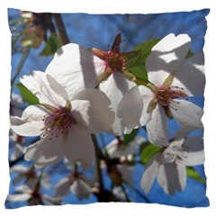 Cherry Blossoms Large Cushion Case (single Sided)  by DmitrysTravels