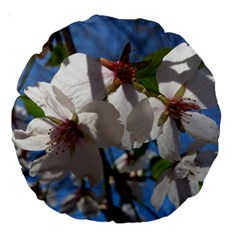 Cherry Blossoms 18  Premium Round Cushion  by DmitrysTravels