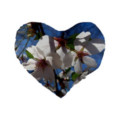 Cherry Blossoms 16  Premium Heart Shape Cushion 