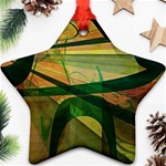 Untitled Star Ornament (Two Sides) Back