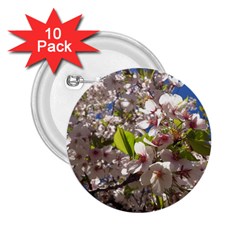 Cherry Blossoms 2 25  Button (10 Pack) by DmitrysTravels