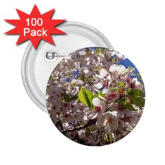 Cherry Blossoms 2 25  Button (100 Pack) by DmitrysTravels