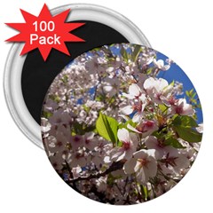 Cherry Blossoms 3  Button Magnet (100 Pack)