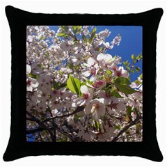 Cherry Blossoms Black Throw Pillow Case