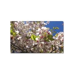 Cherry Blossoms Sticker (rectangle) by DmitrysTravels