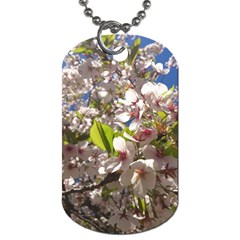 Cherry Blossoms Dog Tag (two-sided)  by DmitrysTravels