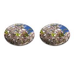 Cherry Blossoms Cufflinks (oval) by DmitrysTravels