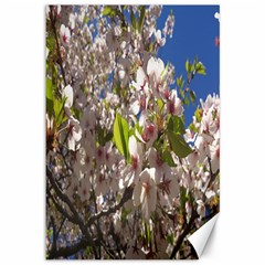 Cherry Blossoms Canvas 12  X 18  (unframed) by DmitrysTravels