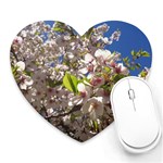 Cherry Blossoms Mouse Pad (Heart) Front