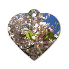 Cherry Blossoms Dog Tag Heart (two Sided) by DmitrysTravels