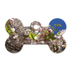 Cherry Blossoms Dog Tag Bone (two Sided) by DmitrysTravels