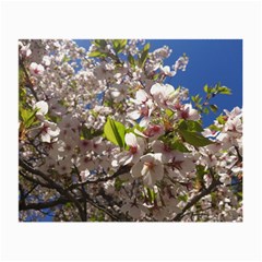 Cherry Blossoms Glasses Cloth (small, Two Sided) by DmitrysTravels