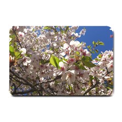 Cherry Blossoms Small Door Mat