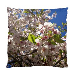 Cherry Blossoms Cushion Case (two Sided)  by DmitrysTravels