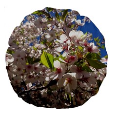 Cherry Blossoms 18  Premium Round Cushion 